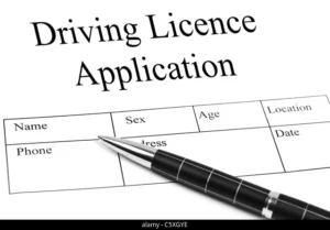 Driver's Licence Renewal A Guide