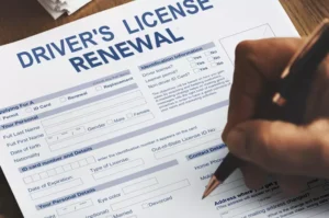 Driver's Licence Renewal 