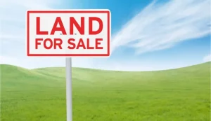 Challenges in Establishing Proof of Land Ownership in Nigeria's Rural Areas